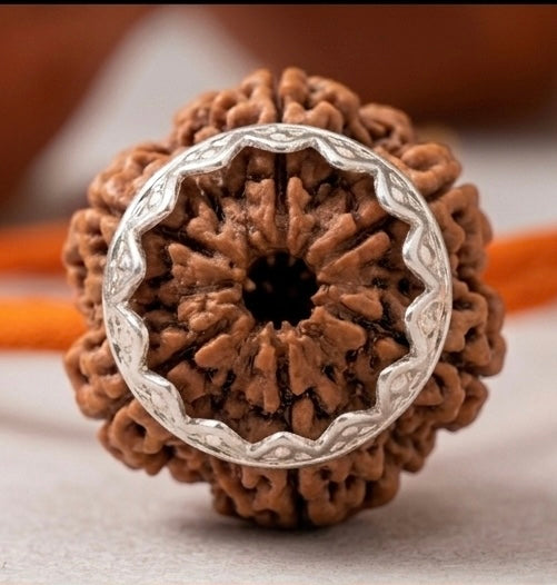 5 Mukhi Rudraksh Locket 🕉️